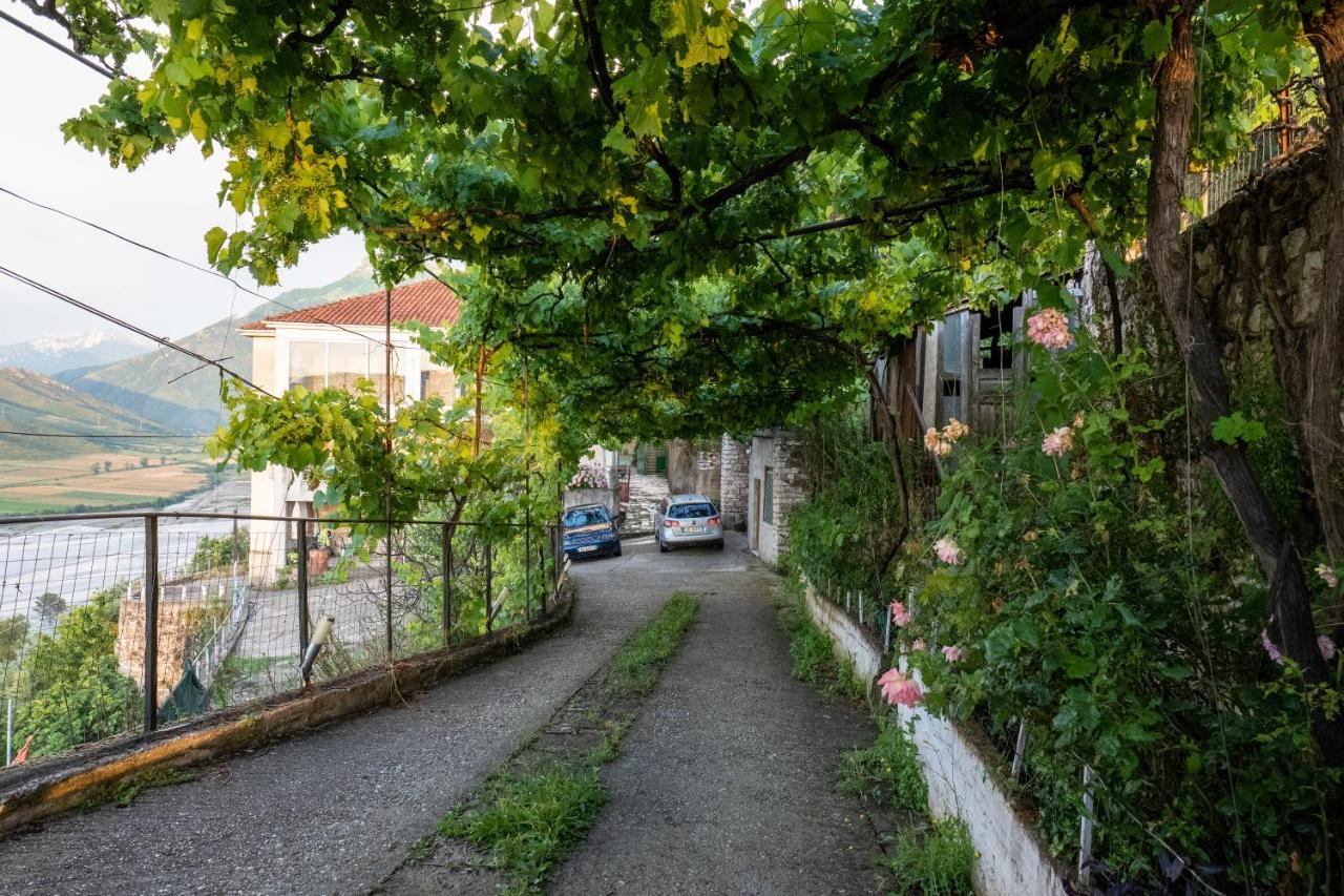 Pensjonat Panoramic View House Tepelene Zewnętrze zdjęcie